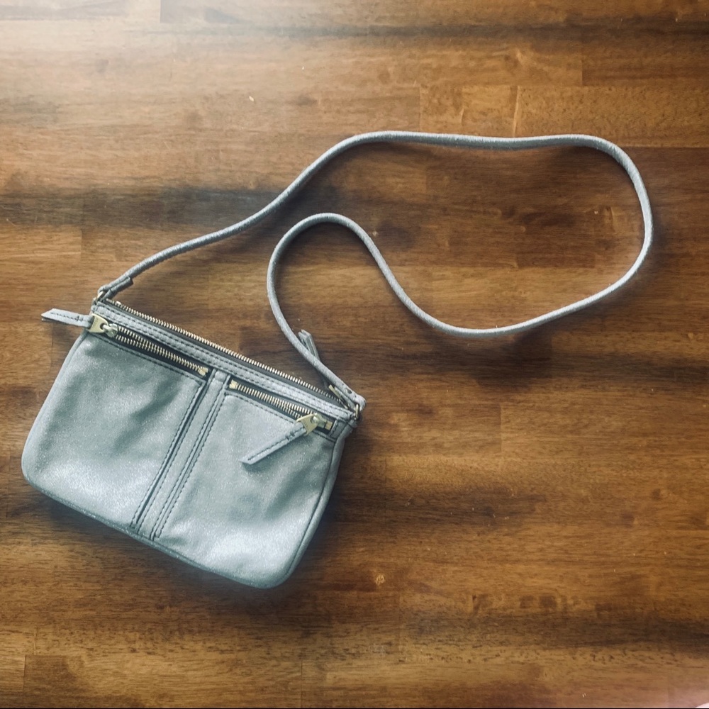 Fossil Metallic Small Erin Crossbody